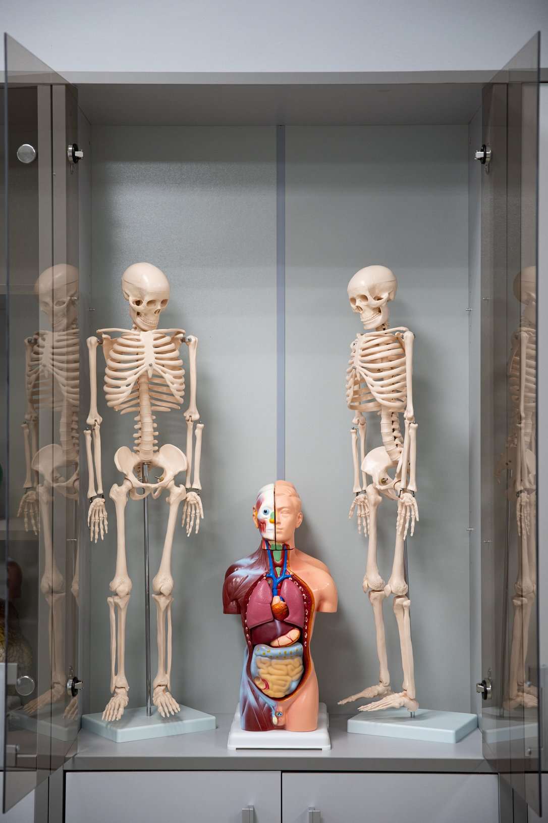 Using Digital Technologies in Training International Students