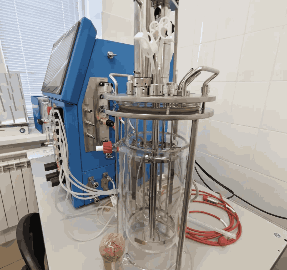 TulSU scientists have developed a technology for creating carbon dioxide packages