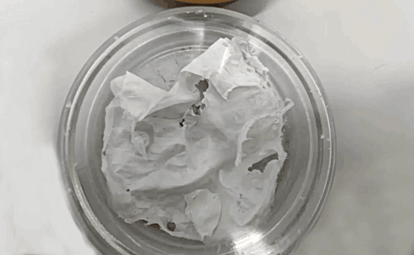 TulSU scientists have developed a technology for creating carbon dioxide packages